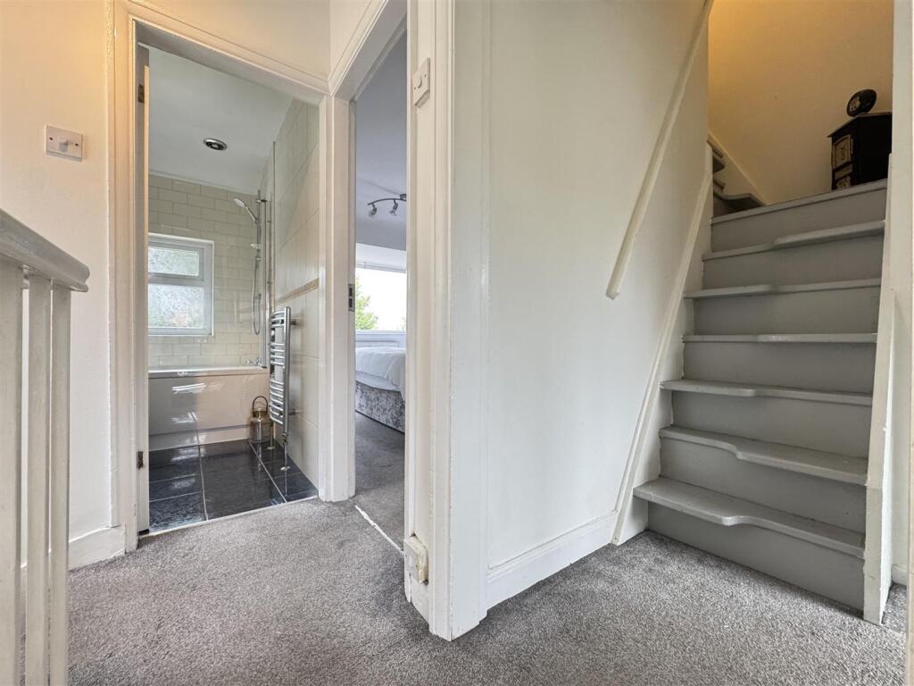 IMG_3296 (Large).JPG