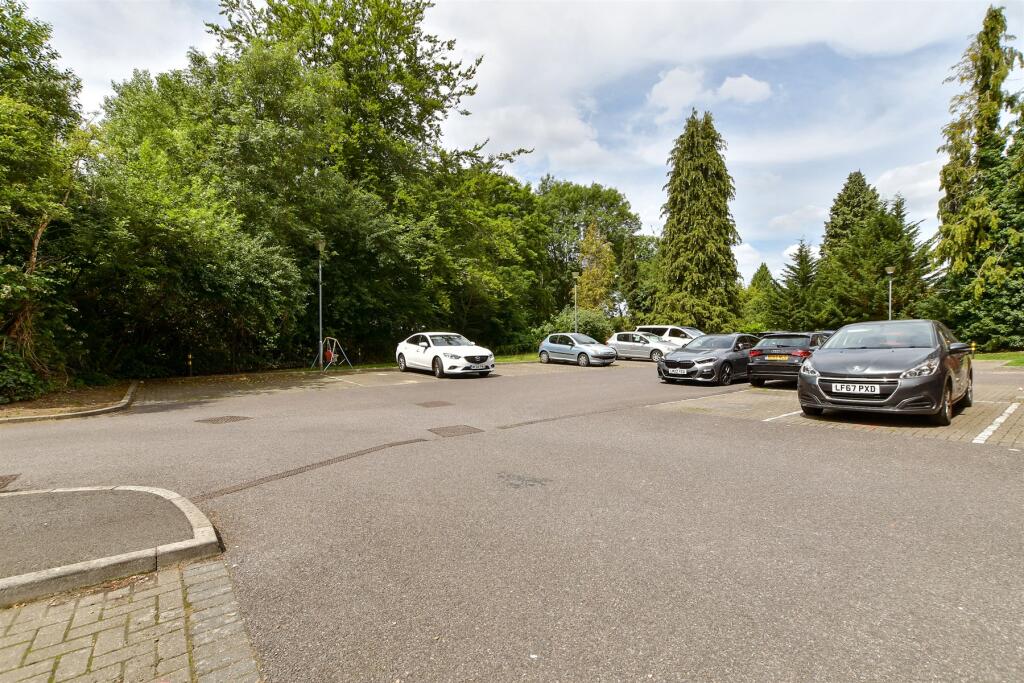 Driveway/Parking
