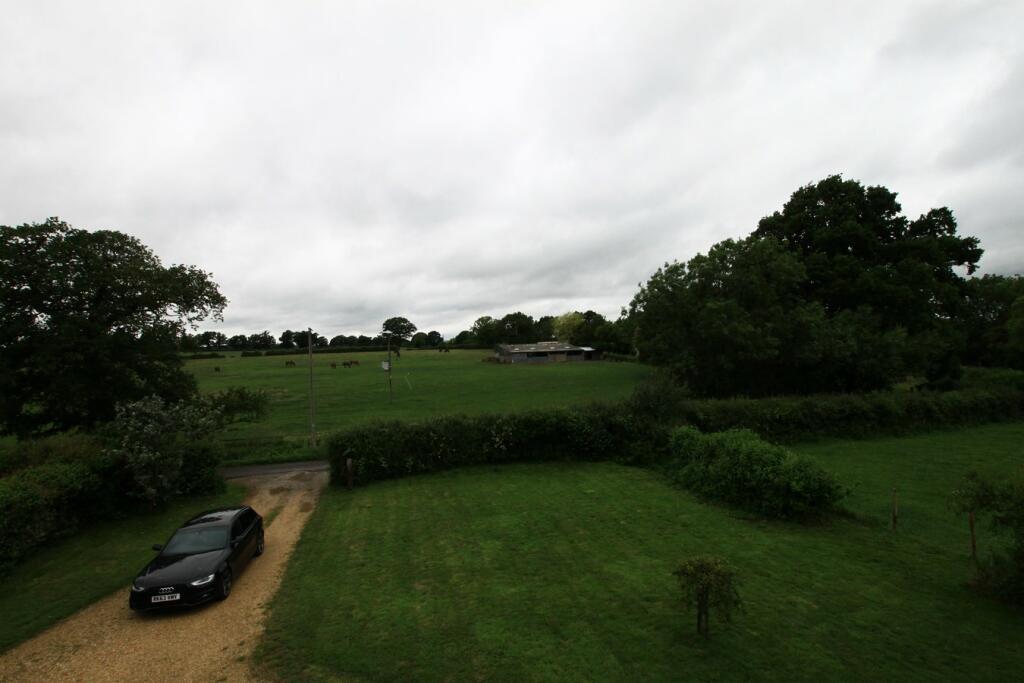 Front garden and parking