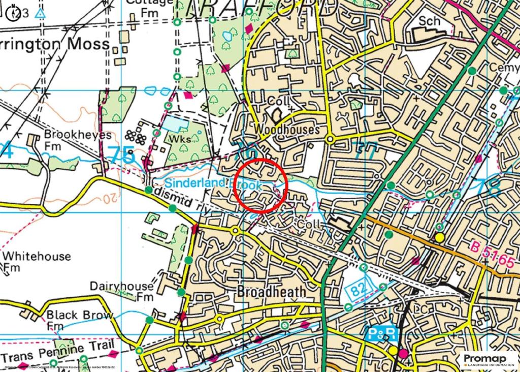 Town Plan