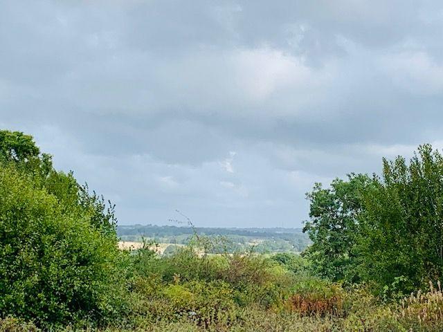Far Reaching Open Views