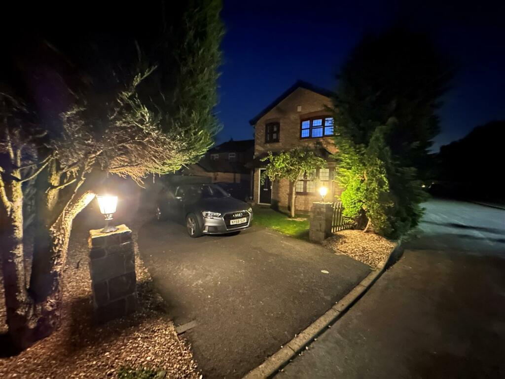 Evening shot