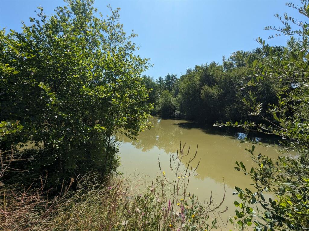 Park Surrounding 1.jpg