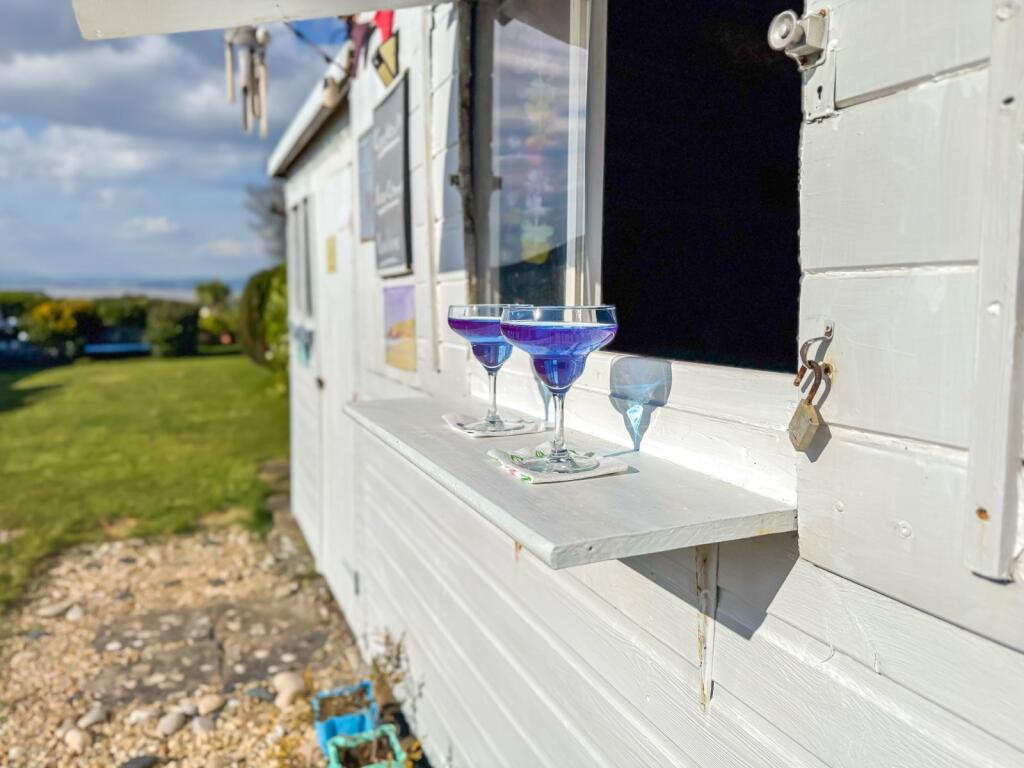 Cocktail Anyone?