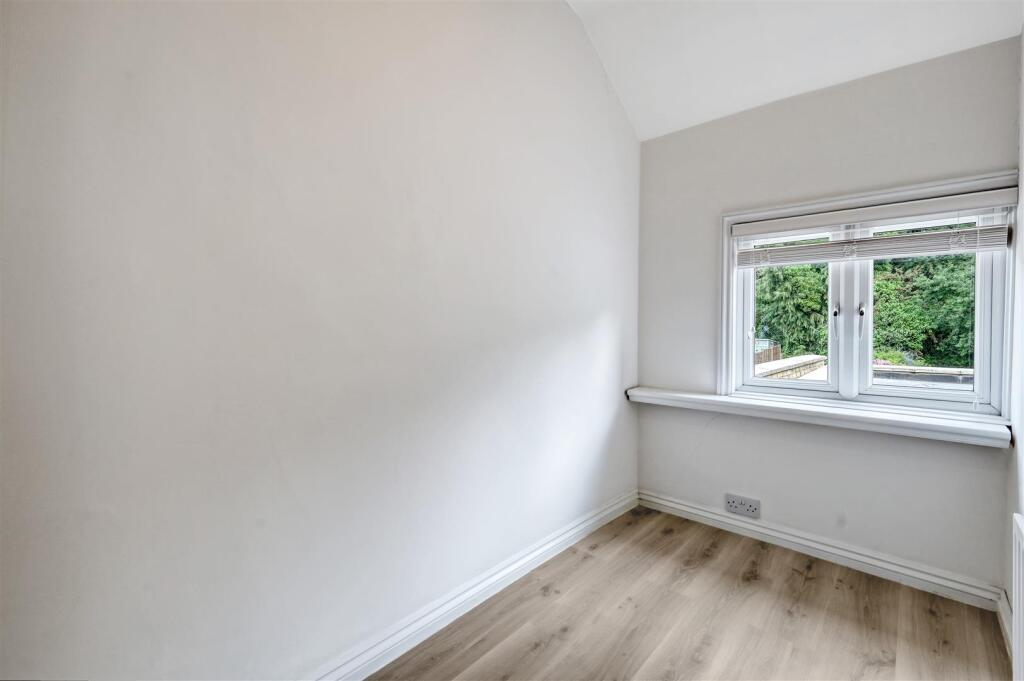 img_3101_3 copy 2.jpg