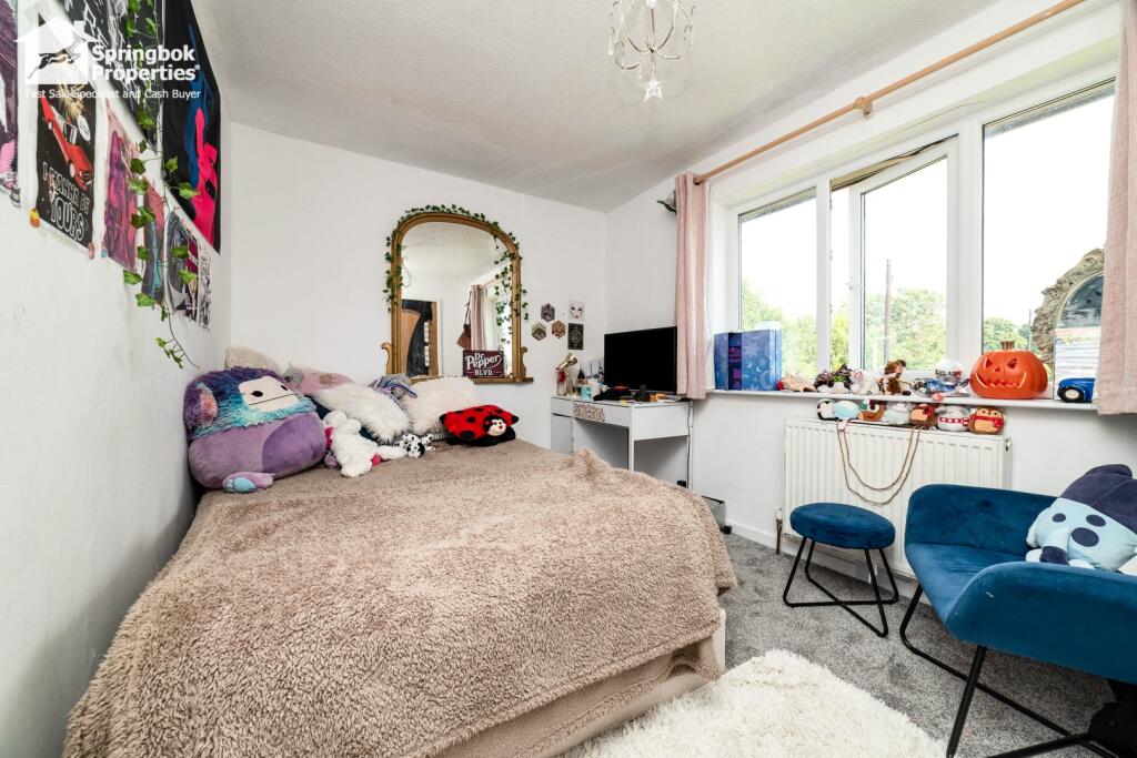 IMAGE 5