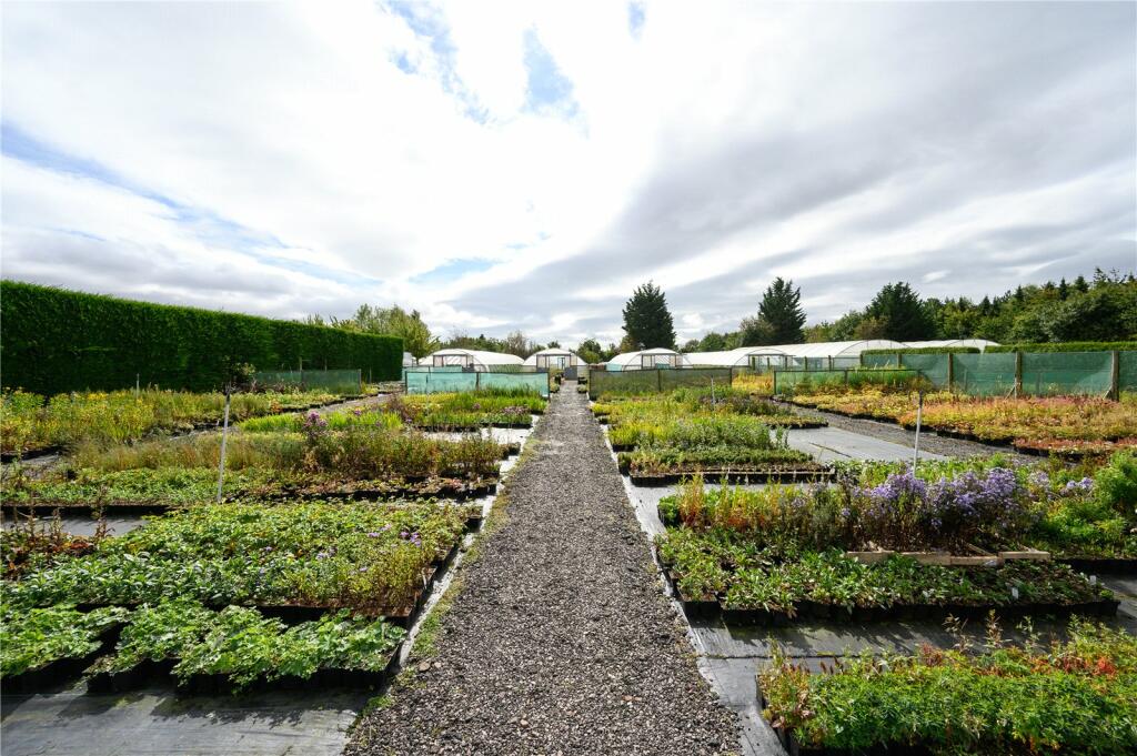 Nursery