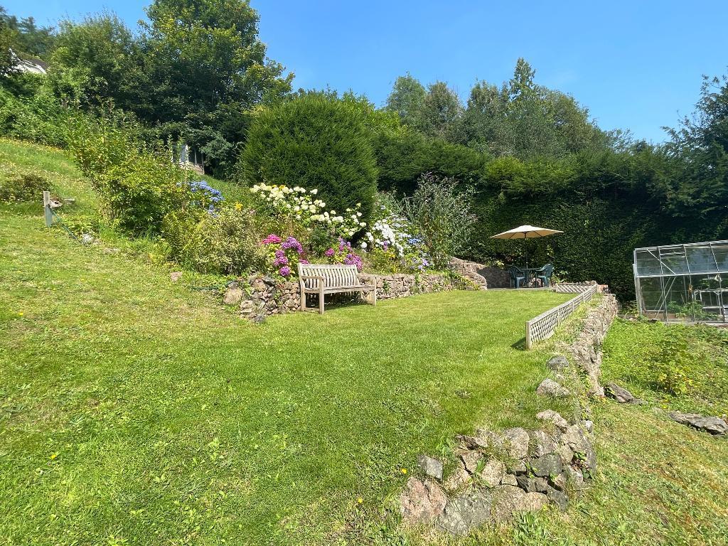 Lovely summer garden with greenhouse