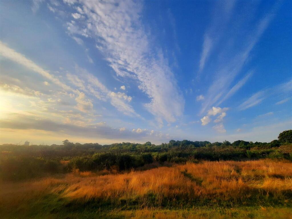 Woodland &amp; Surrounding Areas