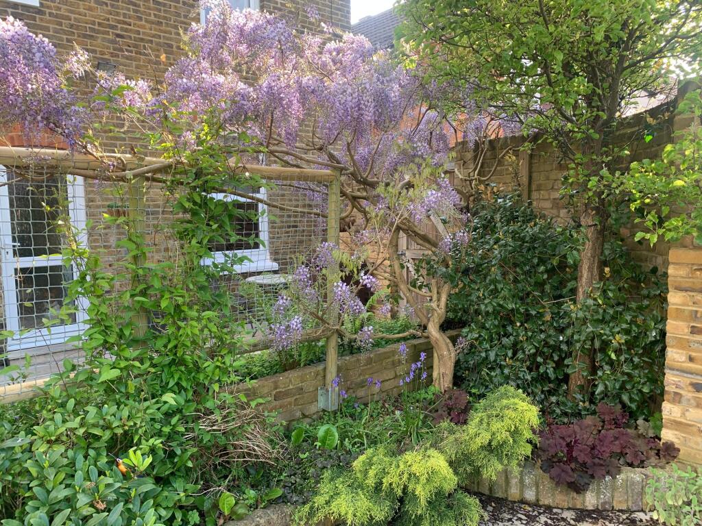 Garden (11)