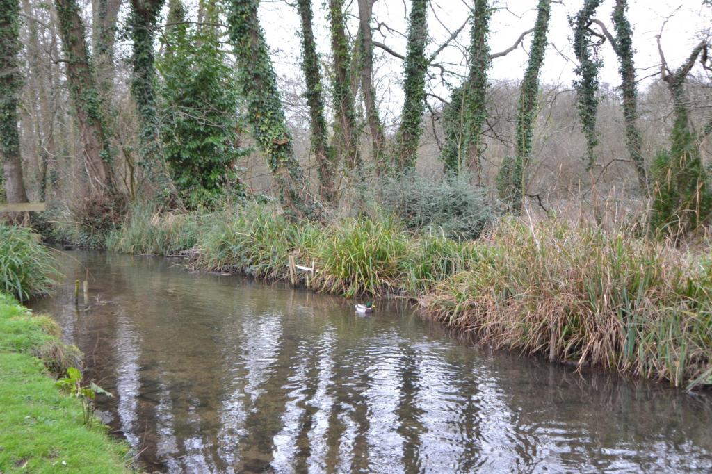 Stream