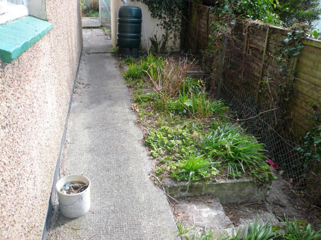 Side Garden