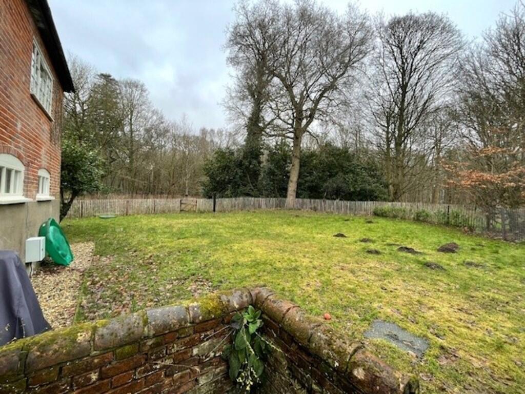 Back garden 3