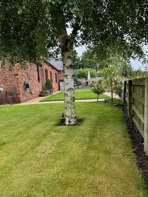 garden rear.jpg