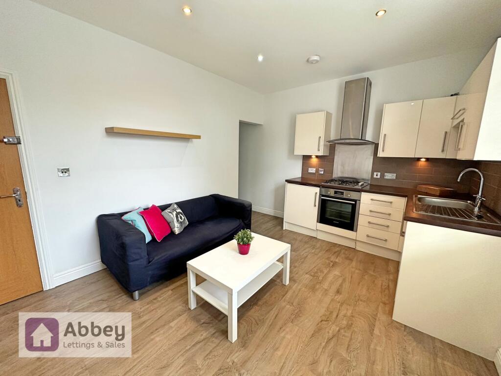 Ope Plan Living Area
