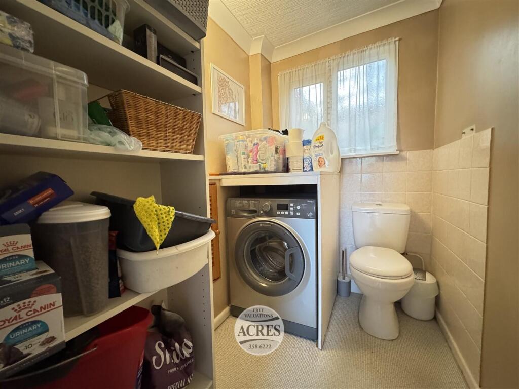 IMG_8556 (Large).jpg