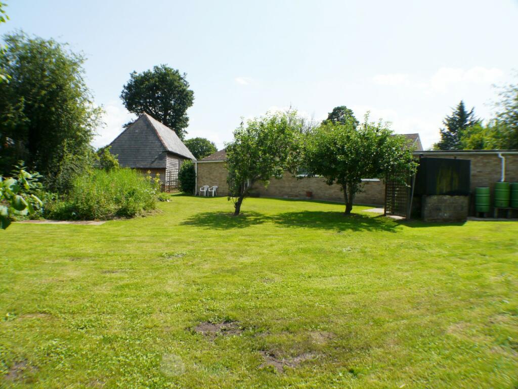 Mature Fruit Trees