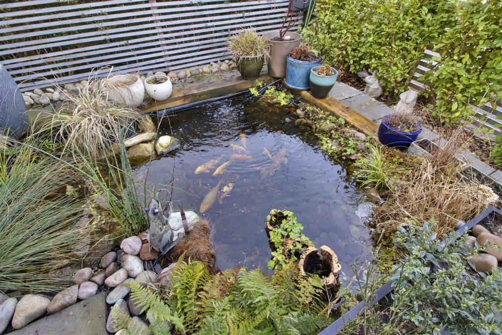Front Garden.jpg