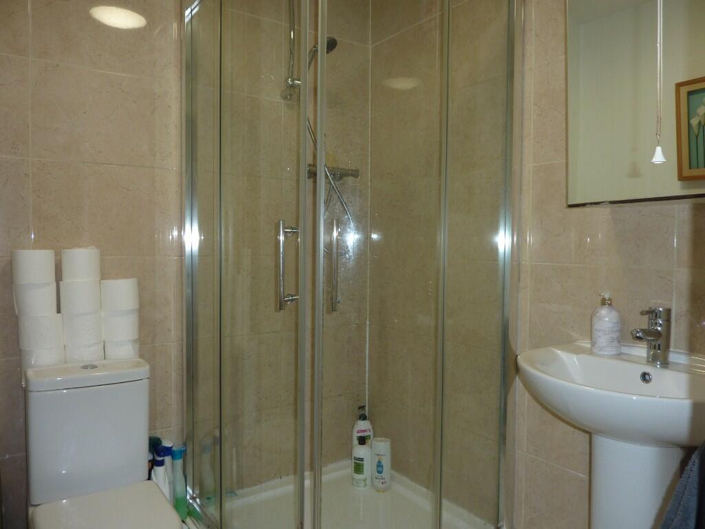 Downstairs Shower