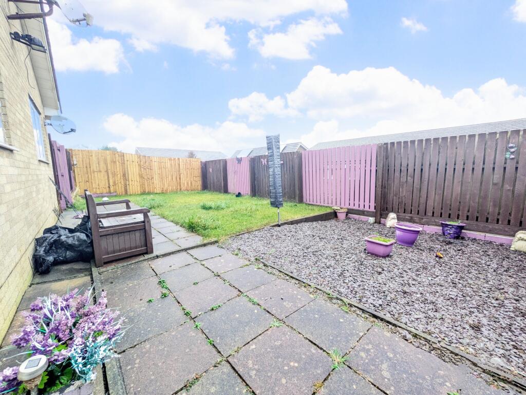 PICNIC_20250219_180905075~2