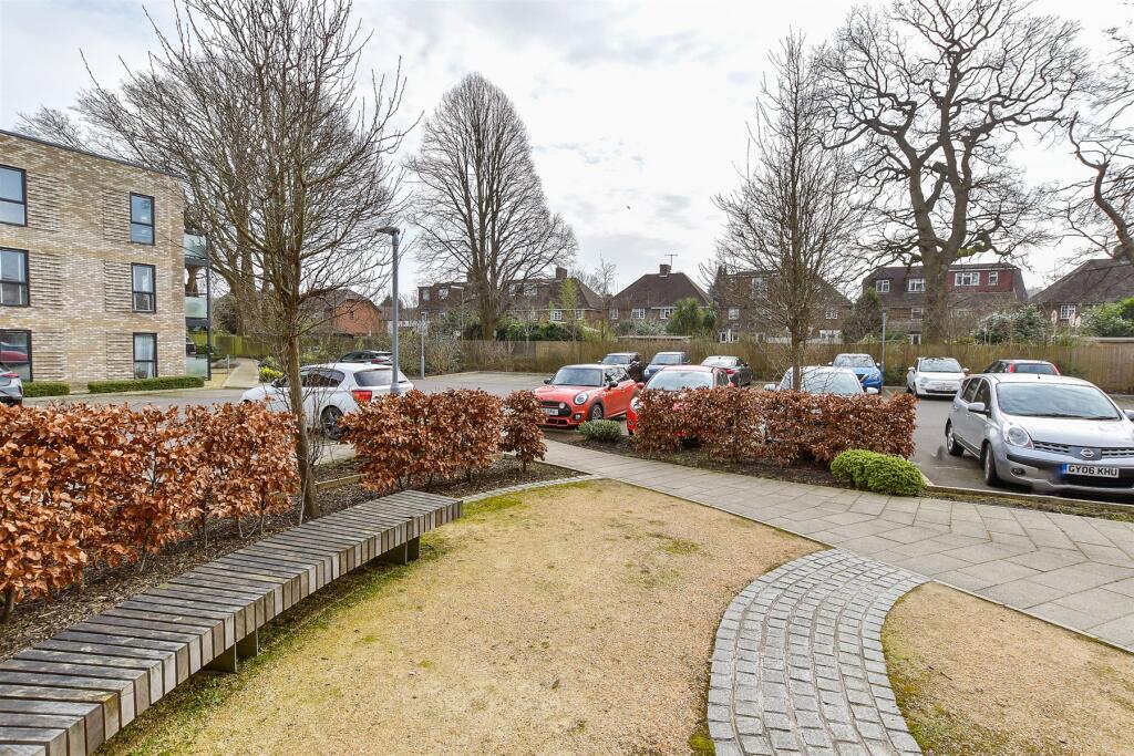 Driveway/Parking