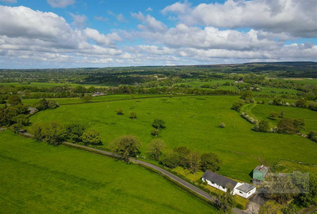 DJI_0918.jpg