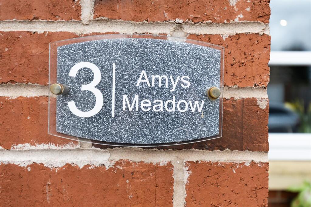 3AmysMeadow-4.jpg