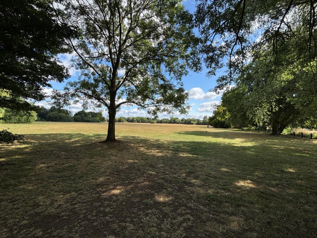 Fields