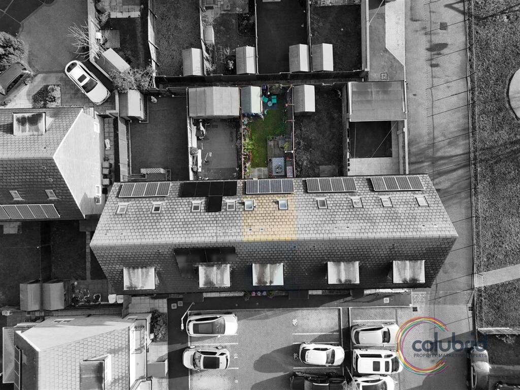 DJI_20250823084207_0067_D.JPG