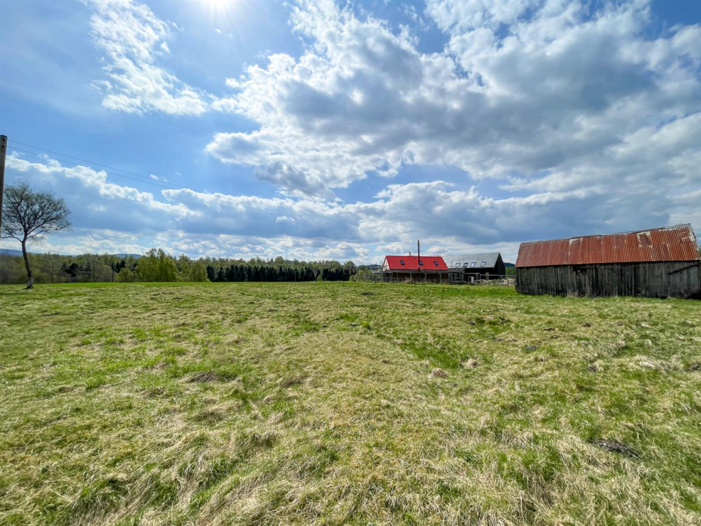 Ground Level View