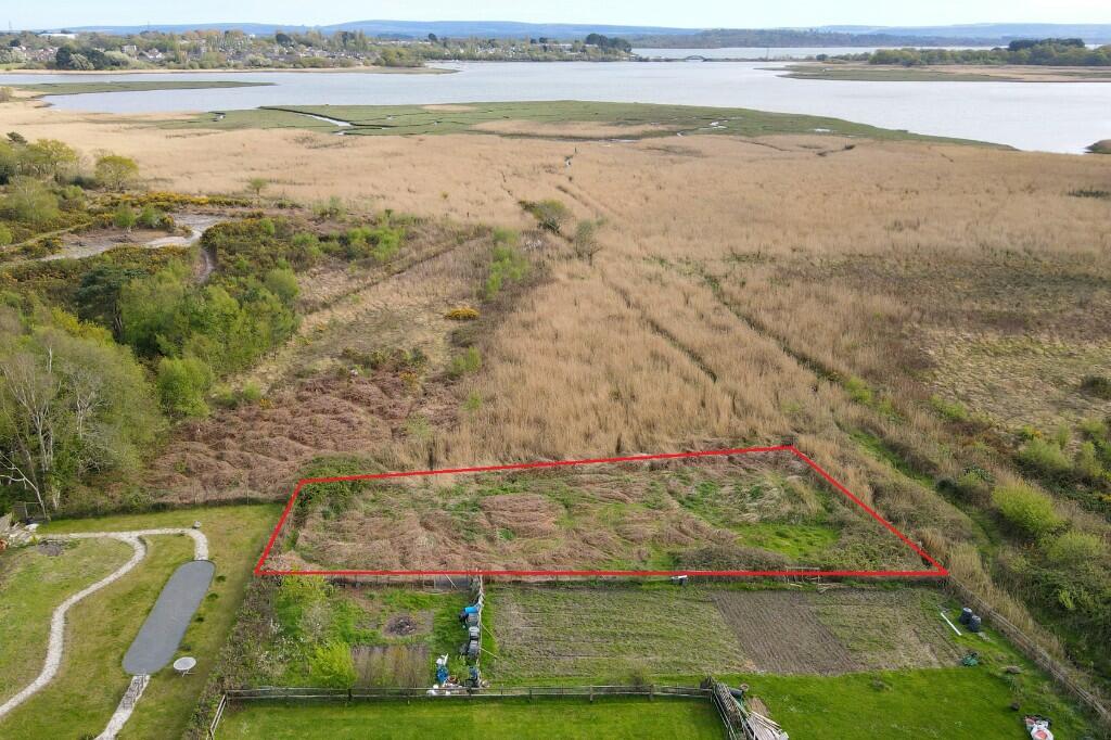 Additional Plot