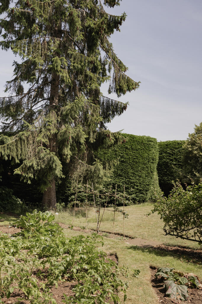 299147 - 54-Laburnhum House, Downham Market-54.jpg