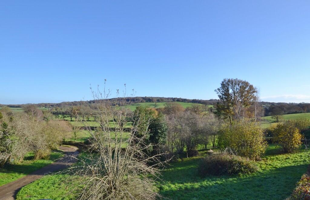 DSC_0974 (1024x66...