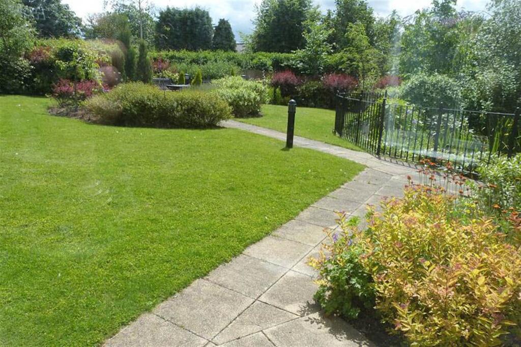 Communal Grounds