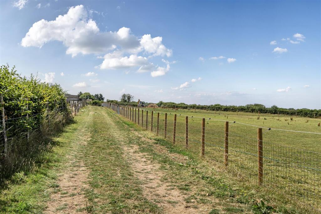 Track Round Paddocks.jpg