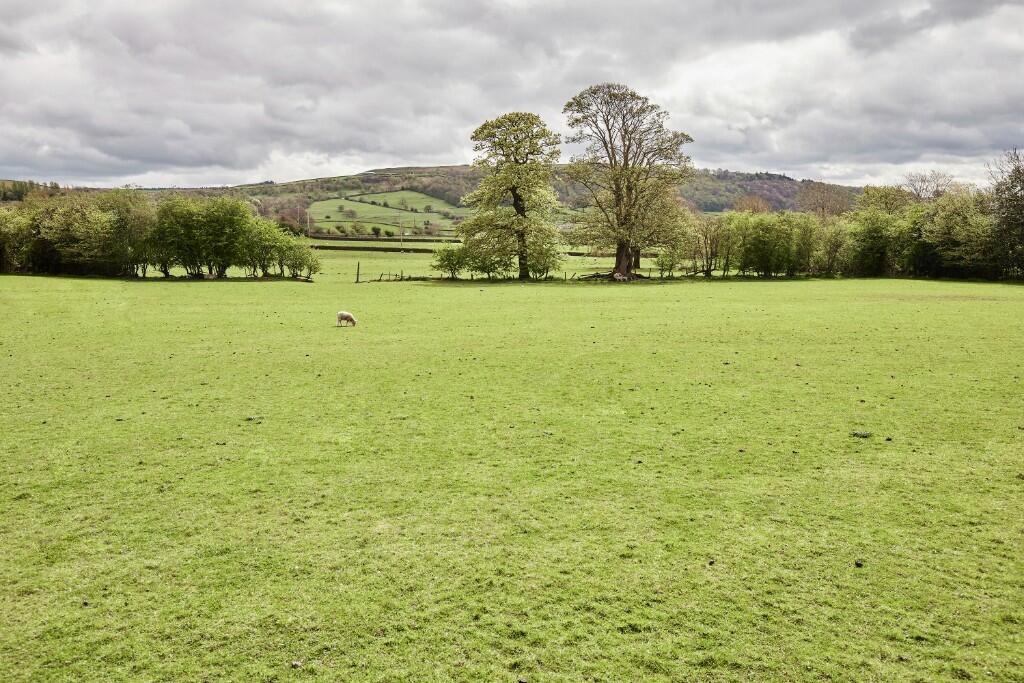 Surrounding Farmland