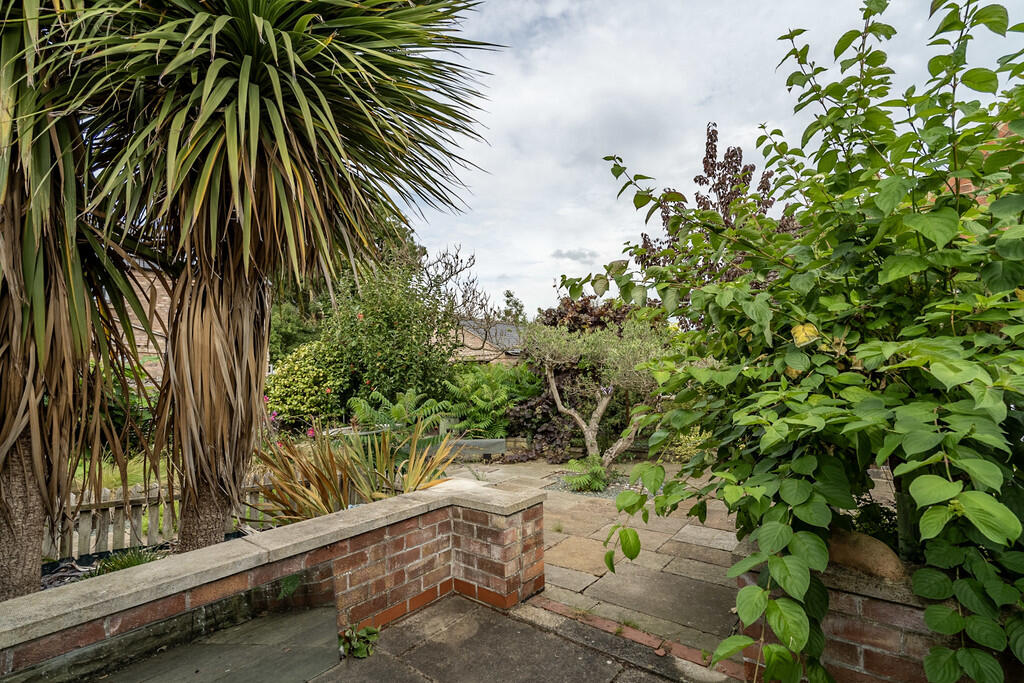 Rear Garden 3
