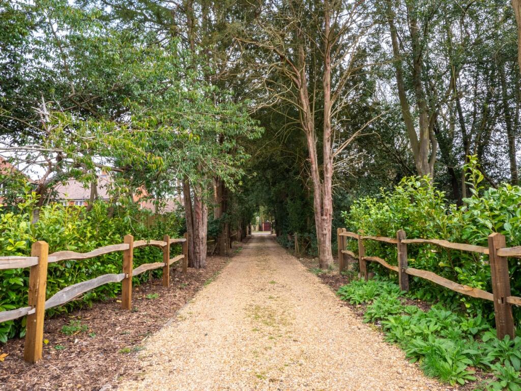 Driveway