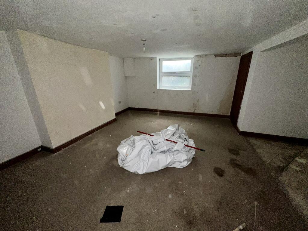 IMG 3944 T202510202156.jpeg