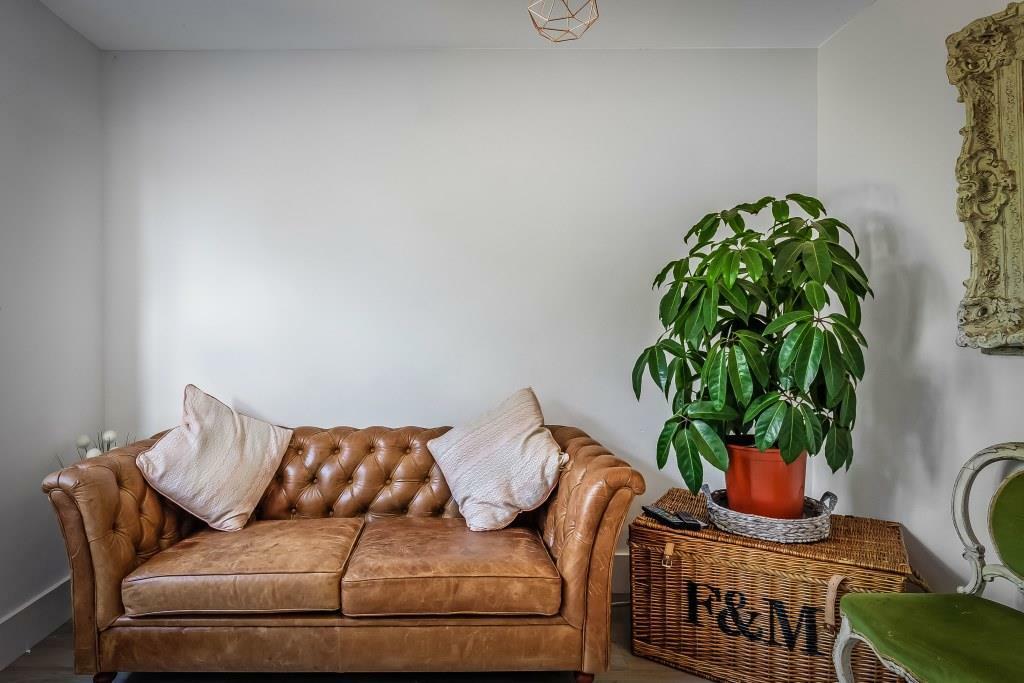 Lounge lifestyle 1.jpg