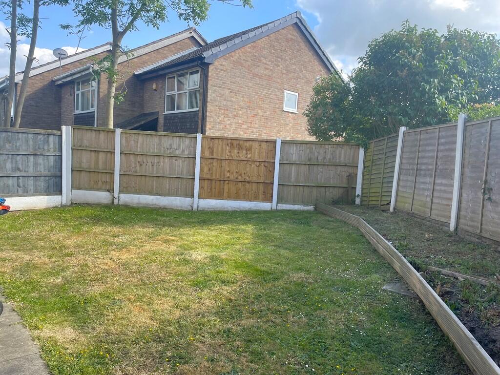 Back Garden 2