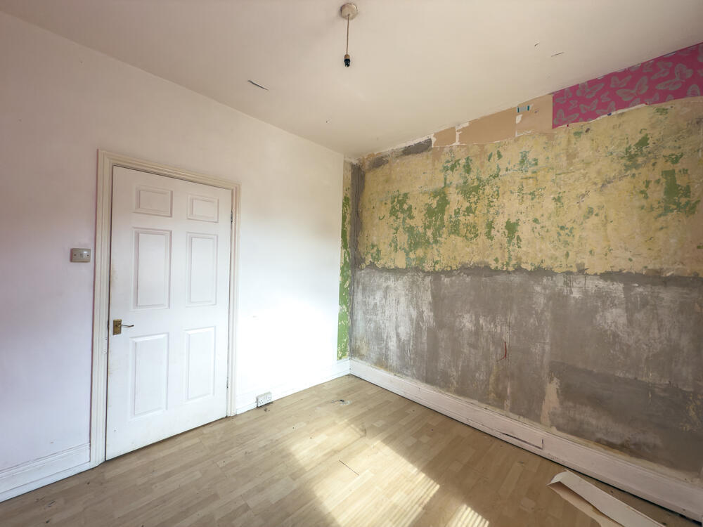 IMG 0944 T202507231506.jpg