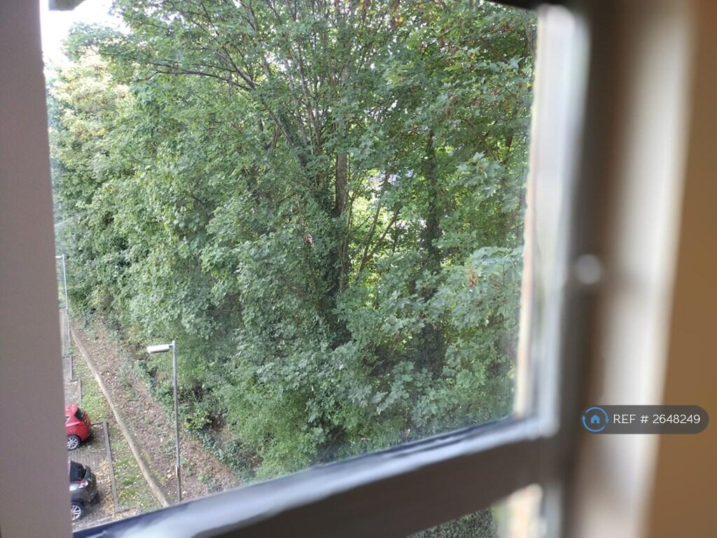 Bedroom Window View