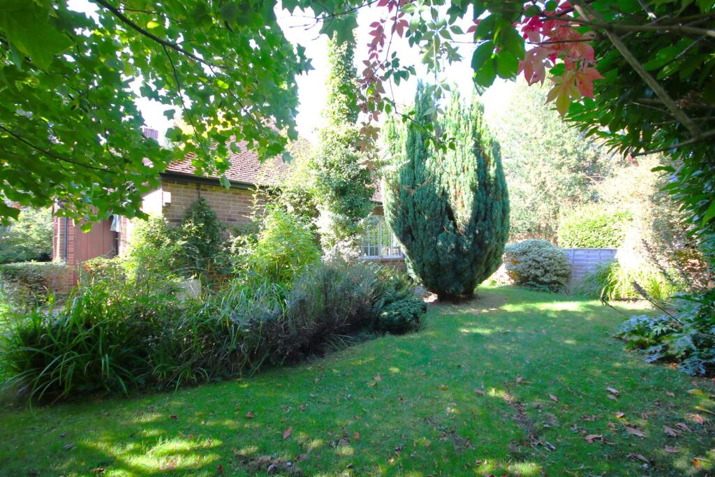 Garden e.JPG