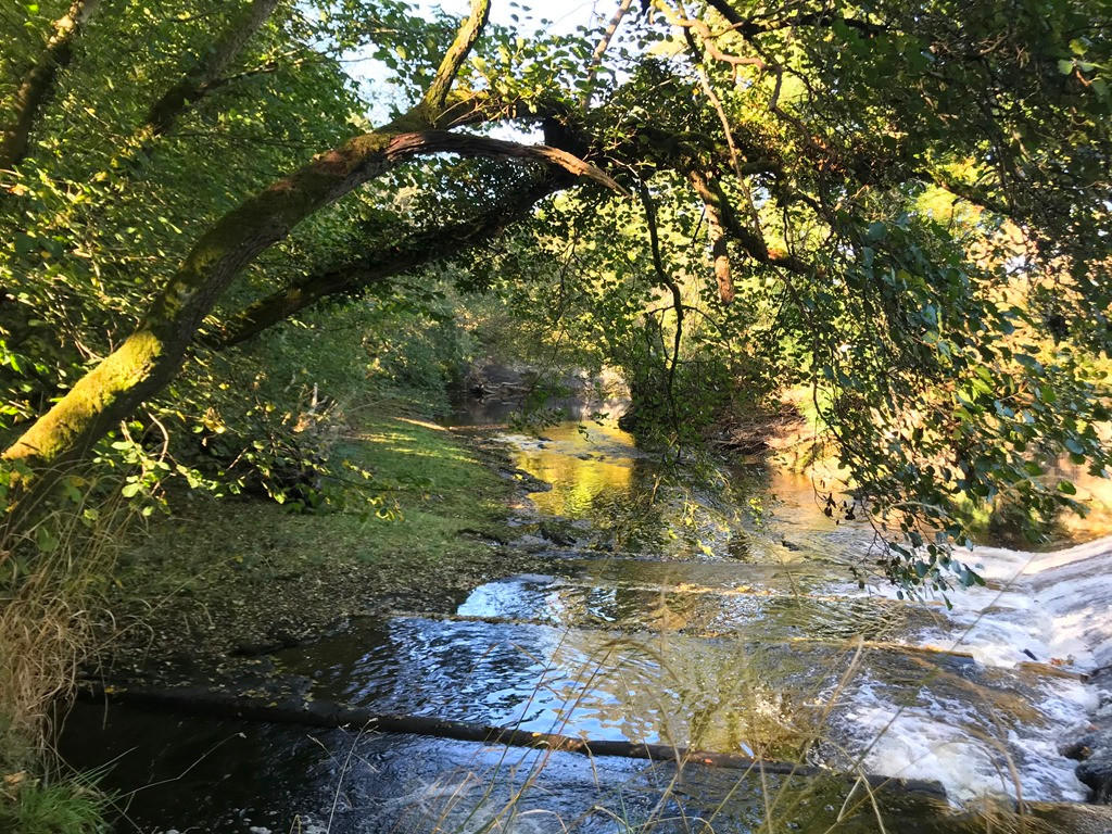 Weir 