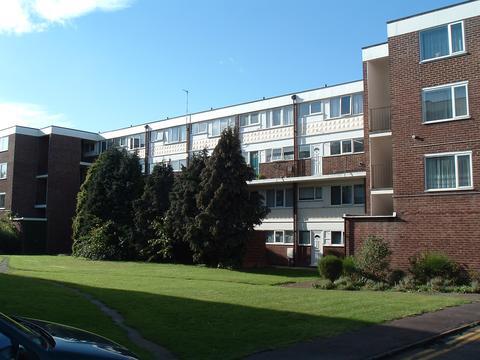 Photo 01