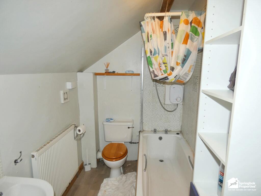 IMAGE 12