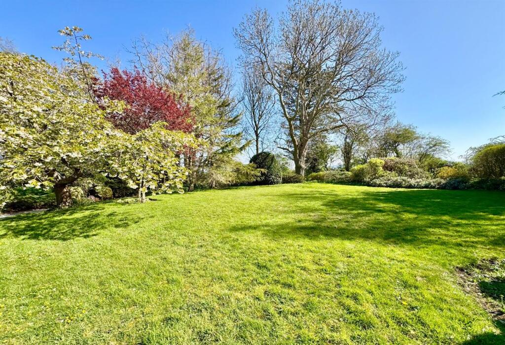 PHOTO-2025-04-13-20-45-42 (34).jpg