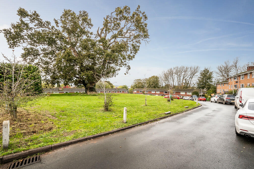 51 Altamira - Web...