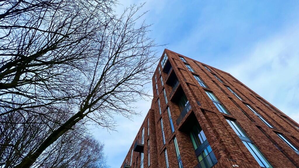 MOUNT YARD